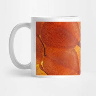 Raspberry under the microscope Mug